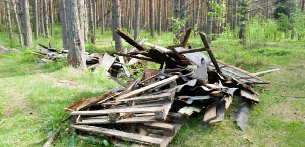 Debris Removal Service in Rotonda West