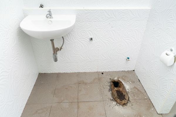 Toilet Disposal in Rotonda West
